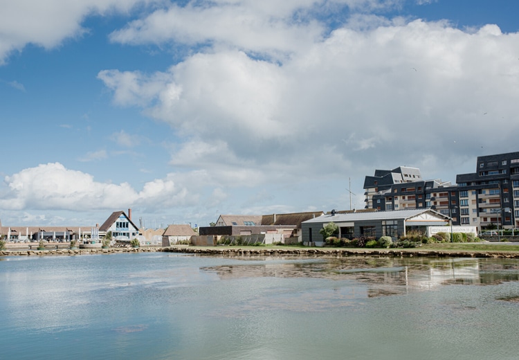 Bassin d'huitres de la Famille Benoist